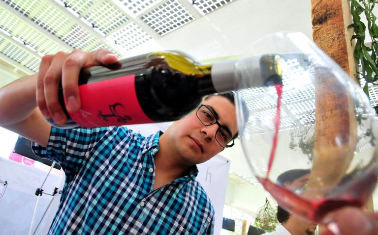 Tinto Bajío: la estrella del vino en León