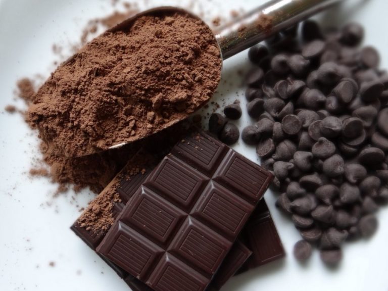 Las delicias del chocolate tabasqueño serán promovidas en Baja California