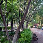 san miguel de allende parque