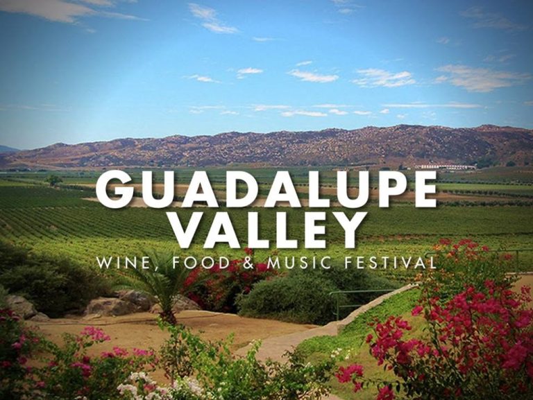 Conoce el lineup del Guadalupe Valley & Music Festival