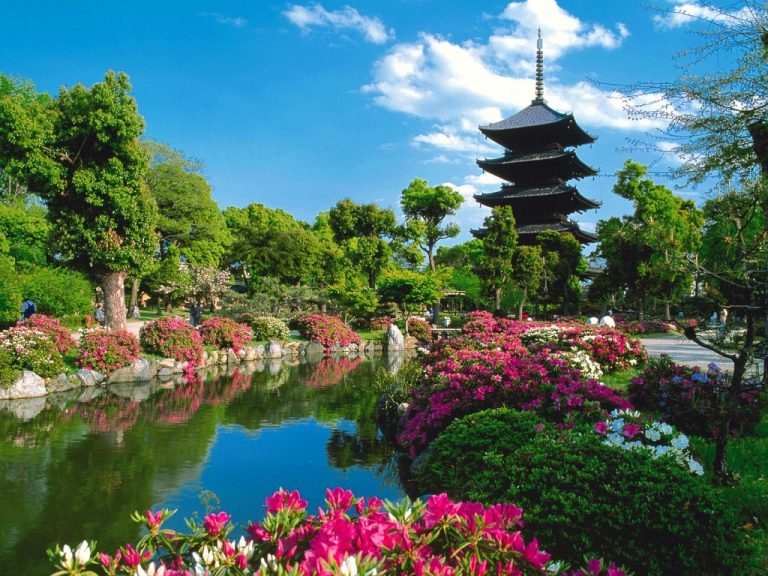 Fortalecerán turismo en Japón de cara a los Juegos Olímpicos de Tokio