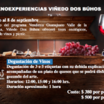 vinedo dos buhos 2018 degustacion
