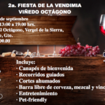 vinedo octagono_2018