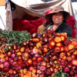 Central de Abastos (1)