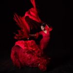 flamenco