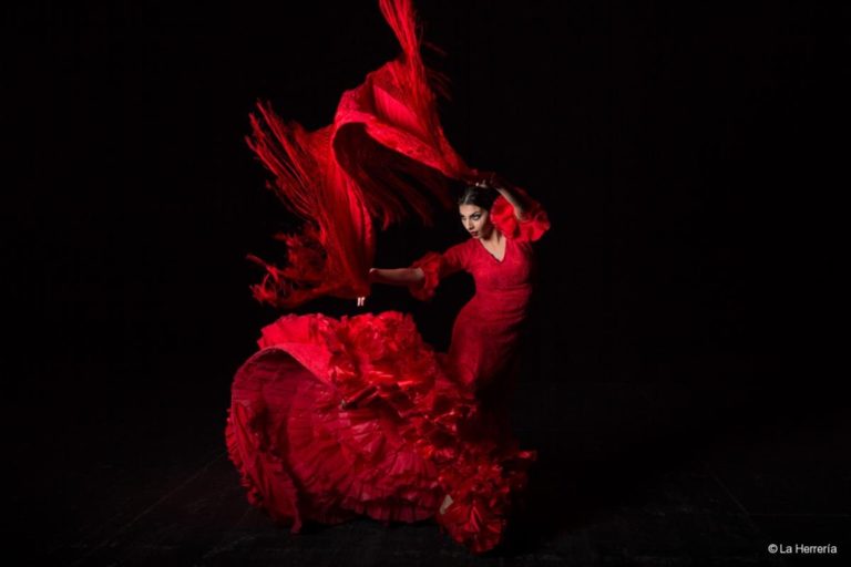 Lánzate a Tamaulipas y disfruta el Flamenco Tam Fest