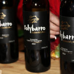 Catando-Mexico-2017_sol-y-barro-vino