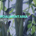 Expo agro 2020_2