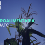 Expo agro 2020_3