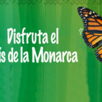 Disfruta-el-pais-de-la-monarca