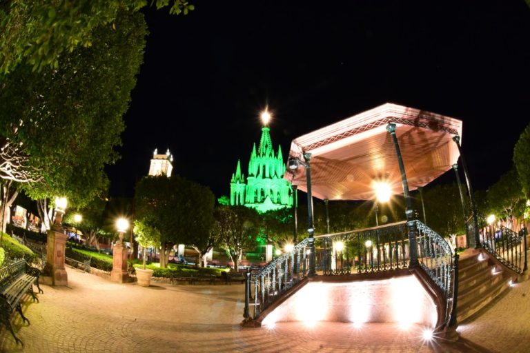 San Miguel de Allende se puso ¡verde! En el Global Greening 2021