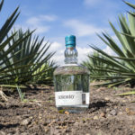 Señorío_joven1 (1)