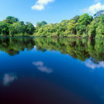 IMG Costa Rica-Parque Nacional Tortuguero 1