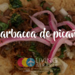 portada-barbacoa-de-picana