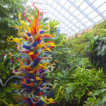 Fairchild Tropical Botanic Garden de Coral Gables