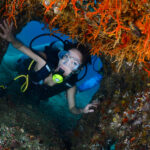 BUCEO-3_Acapulco