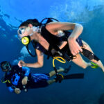 BUCEO-8_Acapulco