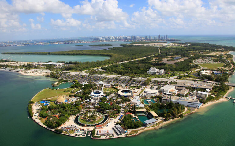 The Dolphin Company operará Miami Seaquarium a partir del 2022