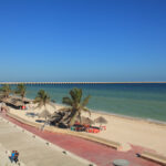 Progreso-MALECON-web