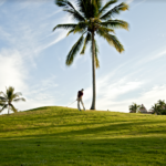 Golf en Puerto Vallarta 2021