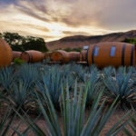 HABITACIONES-EXTERIOR_Hotel-de-barricas-_2