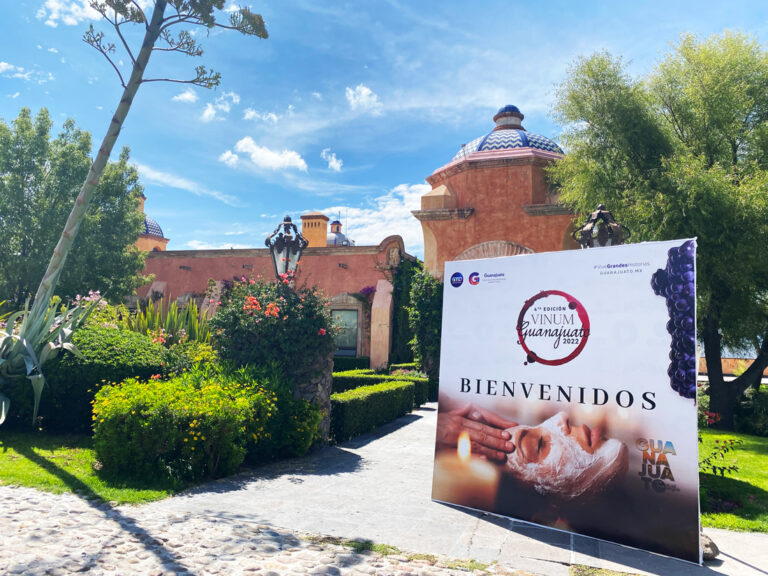 Turismo wellness en viñedos: la apuesta – lejana –  en Guanajuato