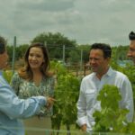 Viñedo San Juanito Vitivinícola, Querétaro (3)