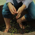 Viñedo San Juanito Vitivinícola, Querétaro (6)