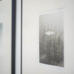 ElMundoMaravilloso-32