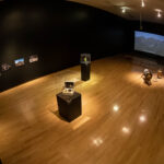 Marcela ArmasMCNODM-156