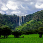 Salto-del-Gavilán-San-Miguel-el-Alto