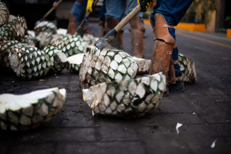 Nada más mexicano que disfrutar de las Fiestas Patrias en el Pueblo Mágico de Tequila