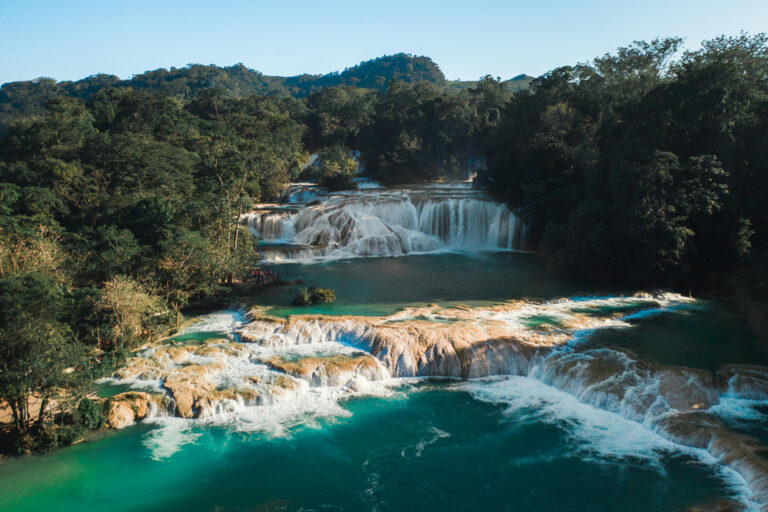 Enero es de Chiapas