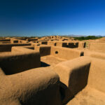 w_PAQUIME_chihuahua_2