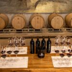 Vinedo San Miguel_cata_vino