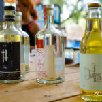 Mezcal-Ocampo_2025_2