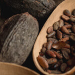 _Nayarit_cacao_Ixtlan-del-Río-15