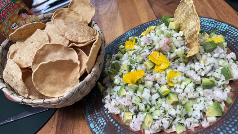 #Agenda Elokua Festival de la Tostada 2025