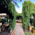 Casablanca-resto-cafe_1