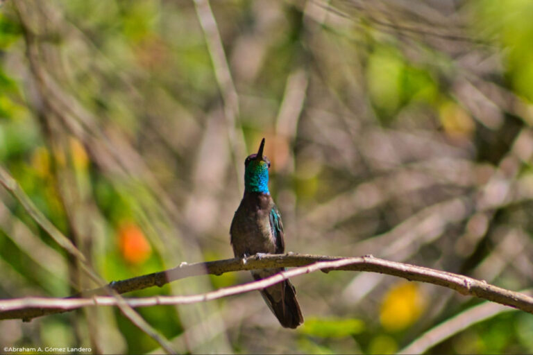 Deja que te abrace el Santuario Natural de Moxviquil
