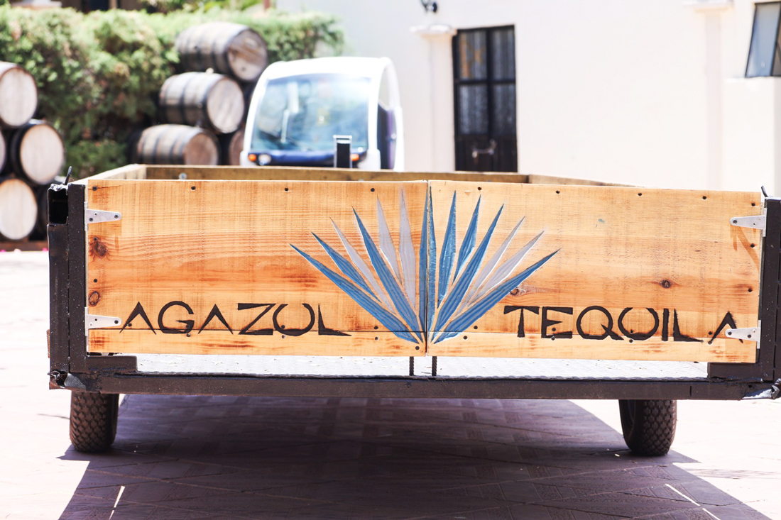 Festival-del-agave_purisima_2026_1
