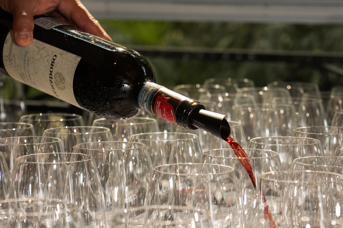 vino_wine_4