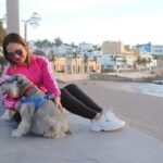 Mascotas_Mazatlan_1