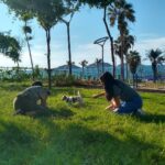 Mascotas_Mazatlan_4