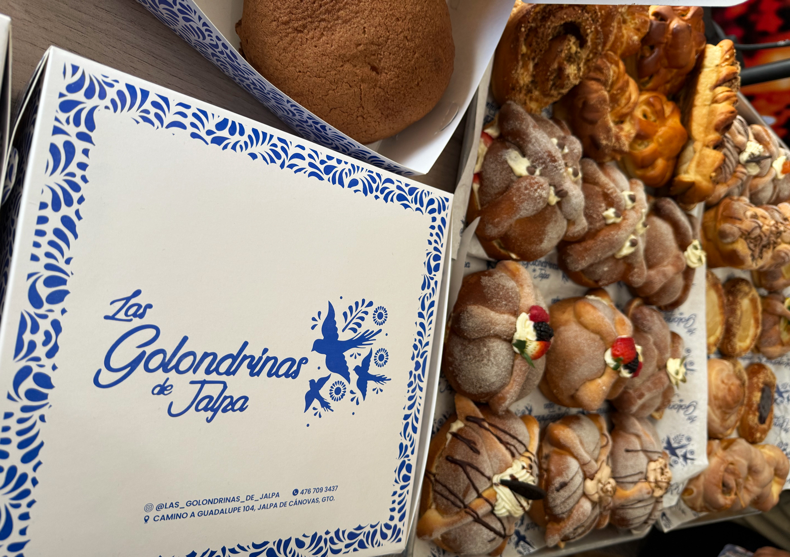 Pan-de-jalpa_Las-golondrinas-de-Jalpa